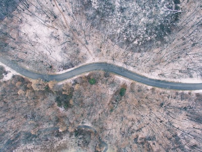 航空摄影的树和道路
